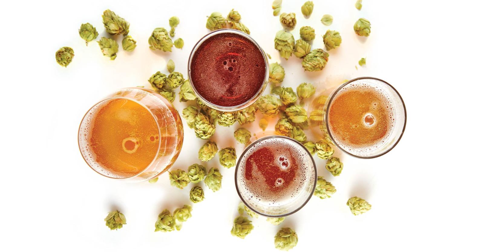 Hops-and-Lagers-image